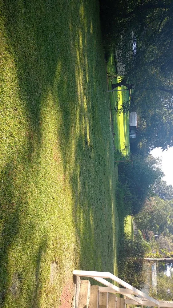 Reliable yard cleanup service with custom design across Pell City, AL - E&M lawnscaping