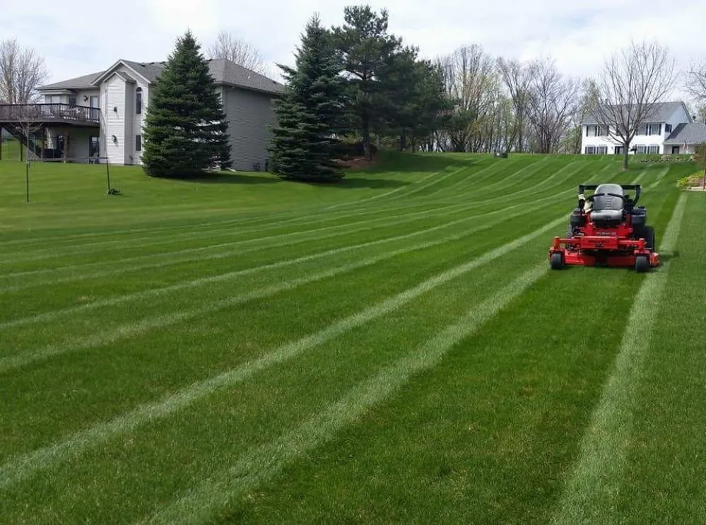 Affordable yard cleanup service in Monticello, MN - E&M Outdoor Services