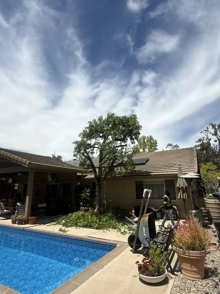 Local landscaping services in Vista, CA by E&M Tree Service and Landscape