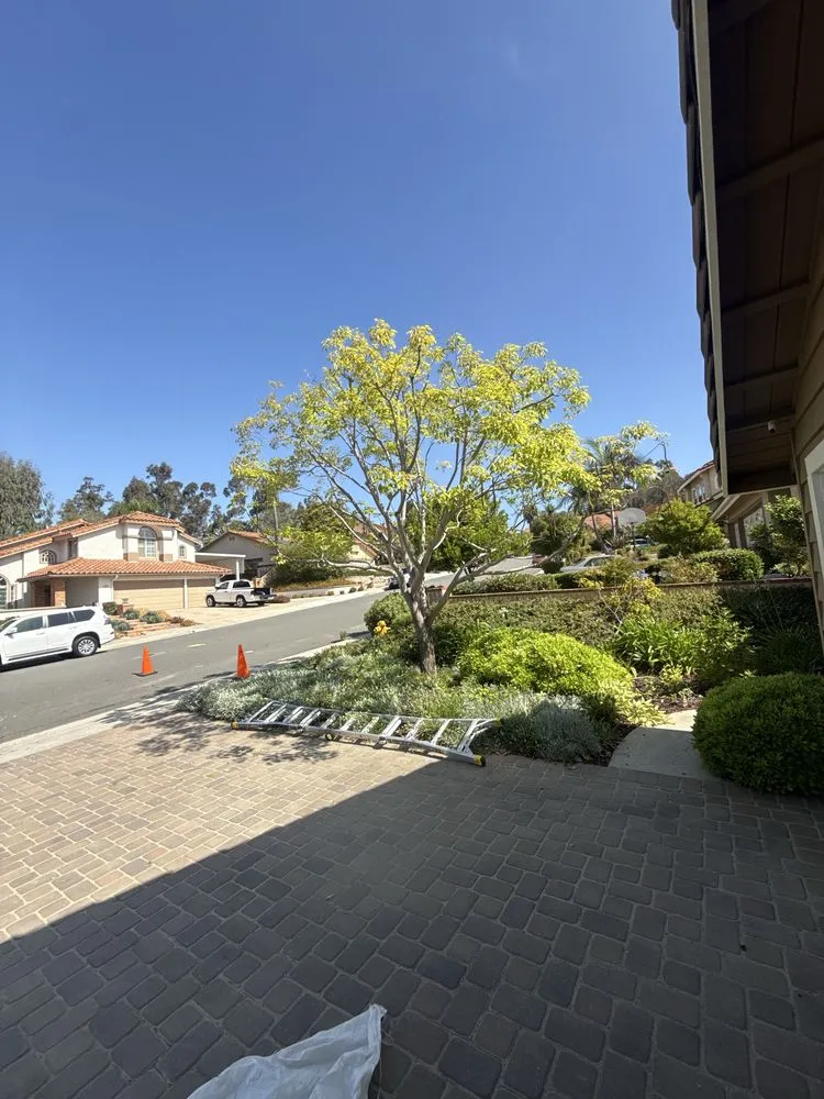 Top-rated landscape installation in Vista, CA by E&M Tree Service and Landscape