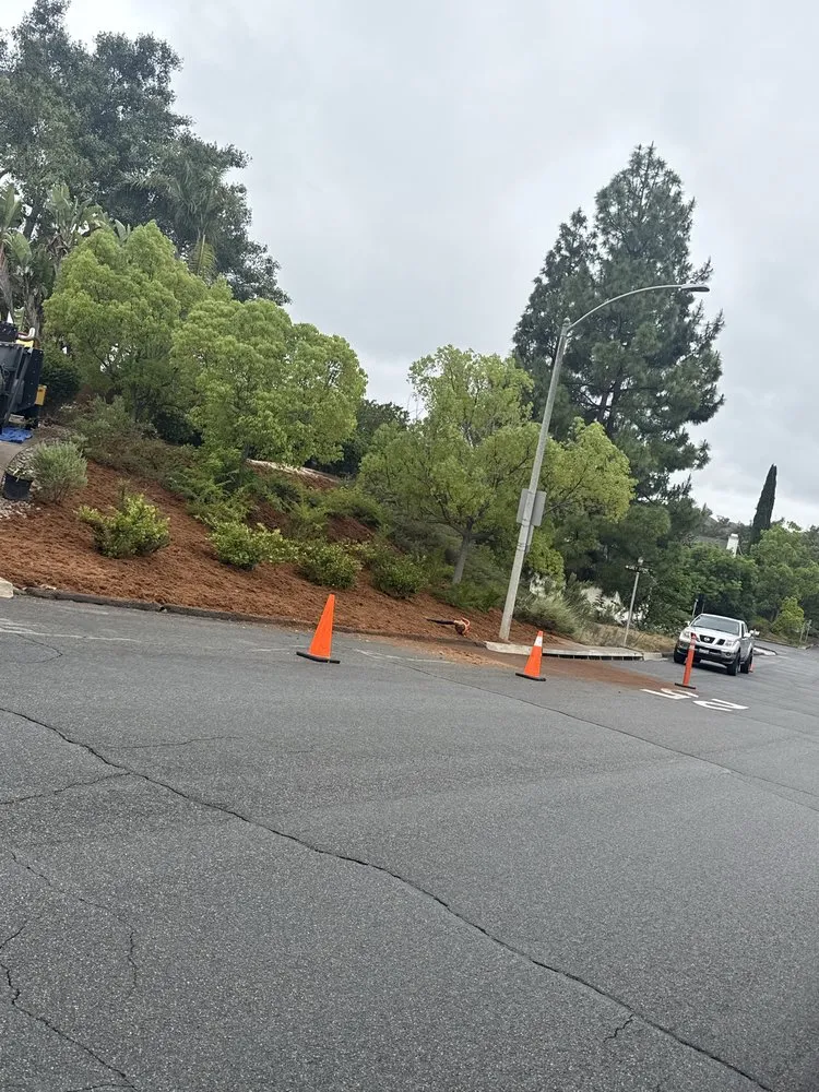 Custom garden landscaping for homes across Vista, CA - E&M Tree Service and Landscape