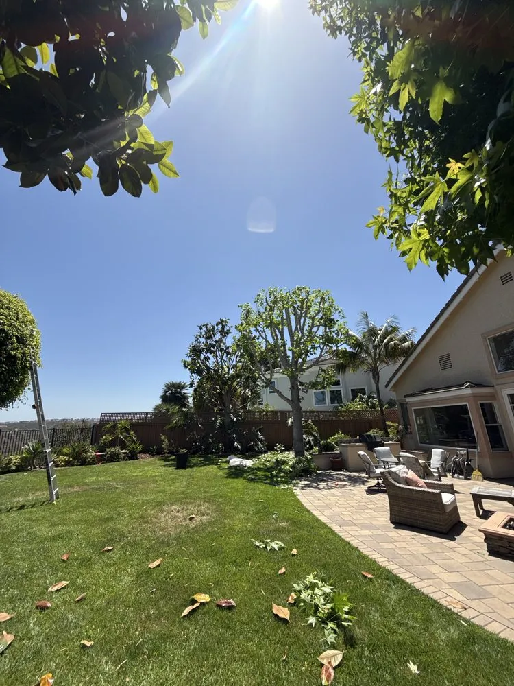 Local landscaping services for outdoor upgrades across Vista, CA - E&M Tree Service and Landscape