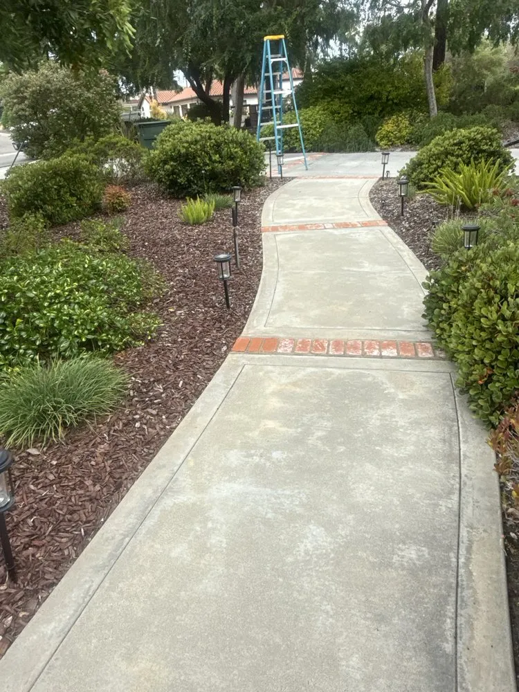 Trusted garden landscaping for residential properties across Vista, CA - E&M Tree Service and Landscape