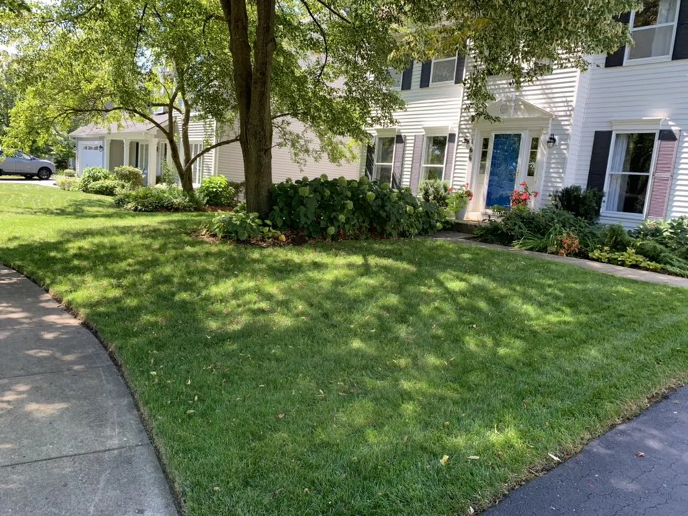Custom yard cleanup service experts serving Glen Ellyn, IL - EMA Landscaping