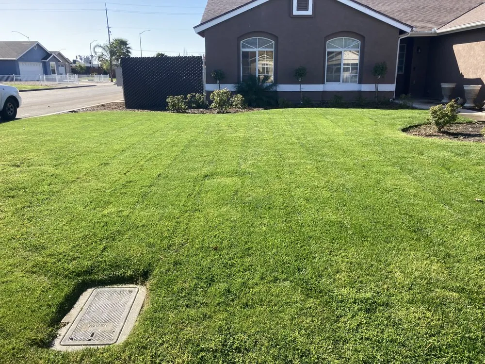 Professional landscaping services for beautiful yards across Fresno, CA - EMaintenance and Landscape