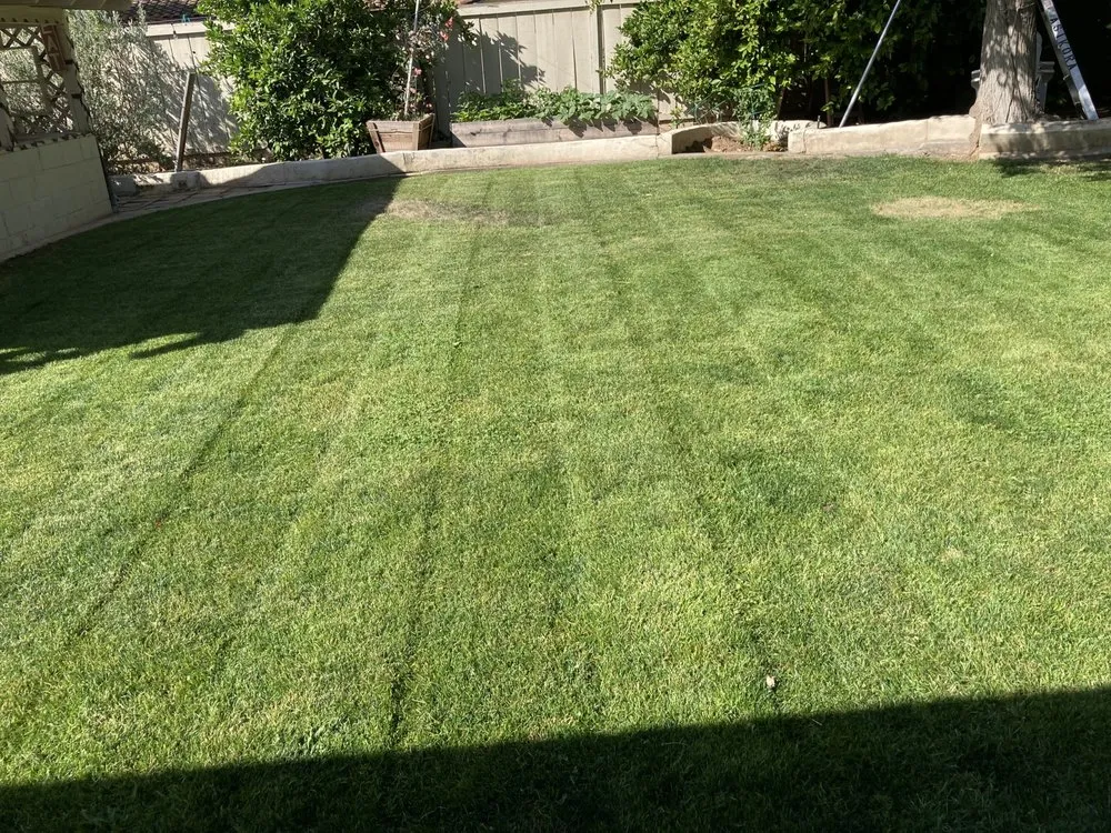 Trusted landscape installation for homes across Fresno, CA - EMaintenance and Landscape