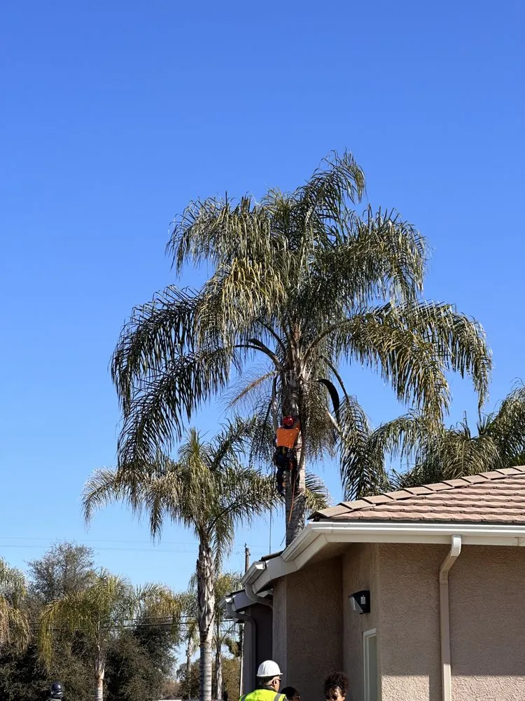 Expert landscape installation experts serving Fresno, CA - EMaintenance and Landscape