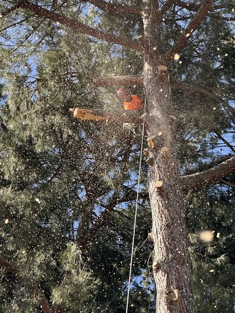 Custom residential landscaping experts serving Fresno, CA - EMaintenance and Landscape