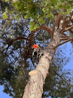 EMaintenance and Landscape Logo