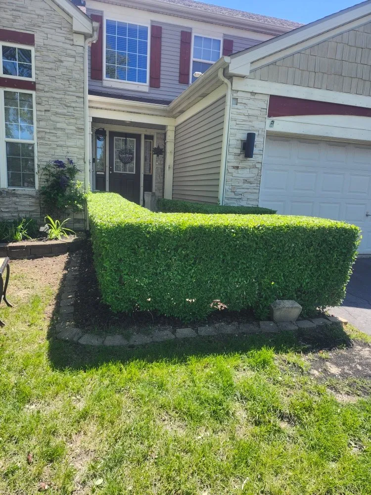Expert outdoor landscaping for beautiful yards in plainfield, IL by Eman Landscaping