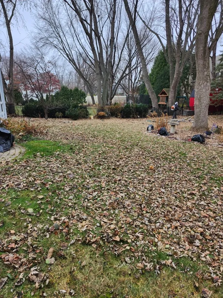 Reliable landscape installation in plainfield, IL - Eman Landscaping