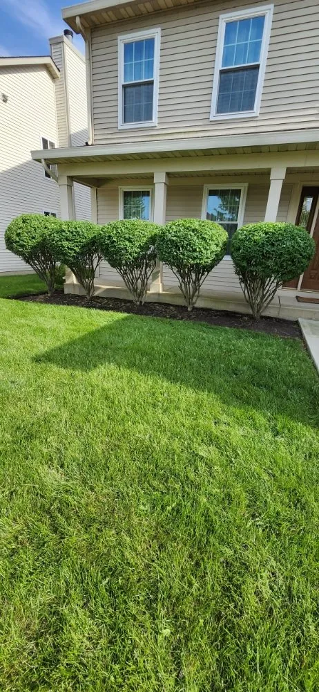 Trusted landscape installation for year-round maintenance across plainfield, IL - Eman Landscaping