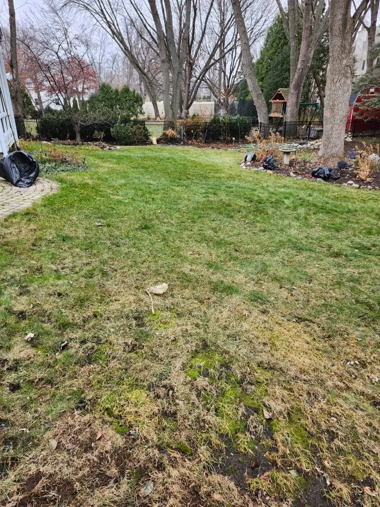 Trusted residential landscaping for outdoor upgrades across plainfield, IL - Eman Landscaping