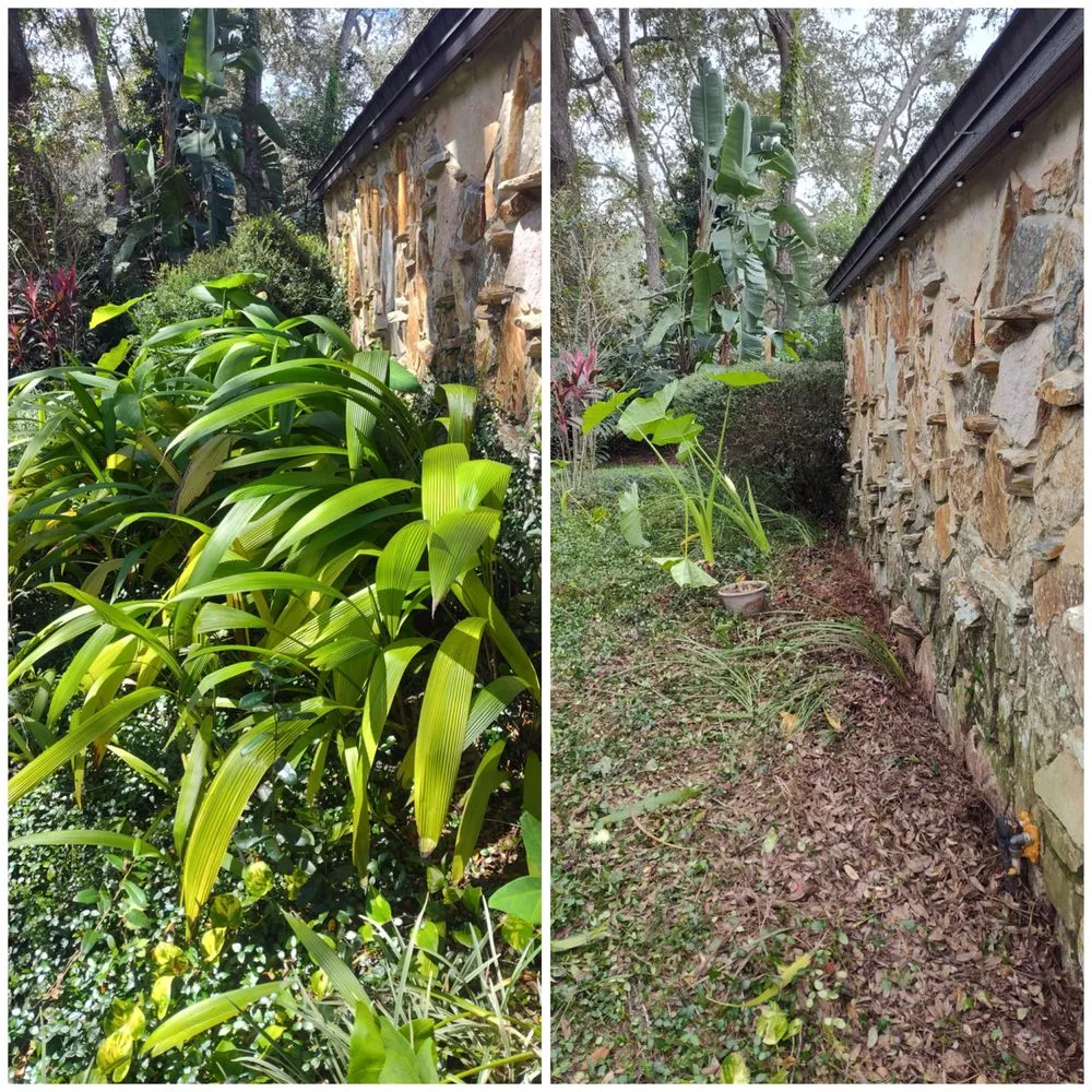 Local landscape installation in Sanford, FL by Eman Pulls Weeds