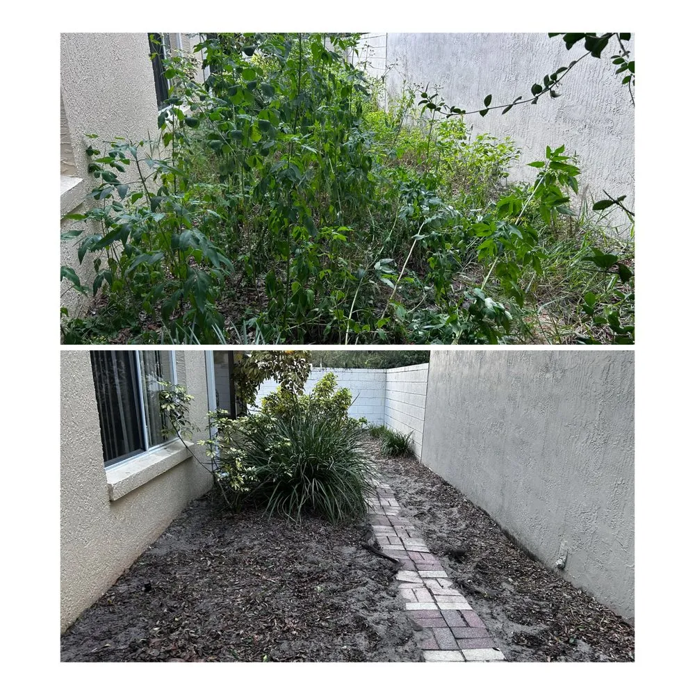 Local landscape design in Sanford, FL - Eman Pulls Weeds
