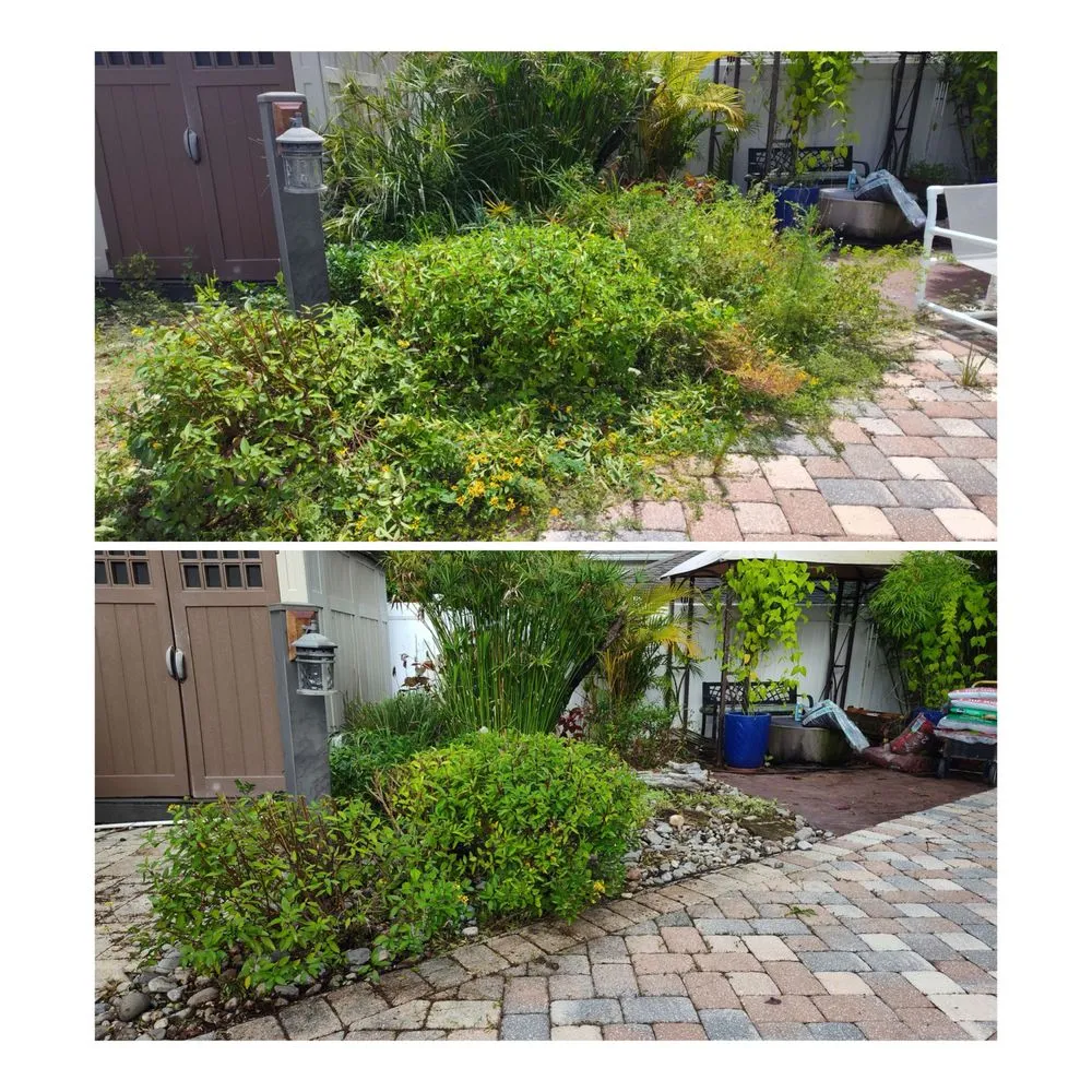 Expert yard cleanup service for year-round maintenance across Sanford, FL - Eman Pulls Weeds