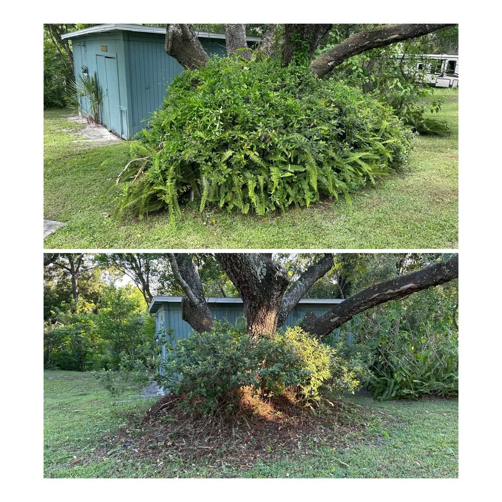 Trusted residential landscaping for year-round maintenance across Sanford, FL - Eman Pulls Weeds