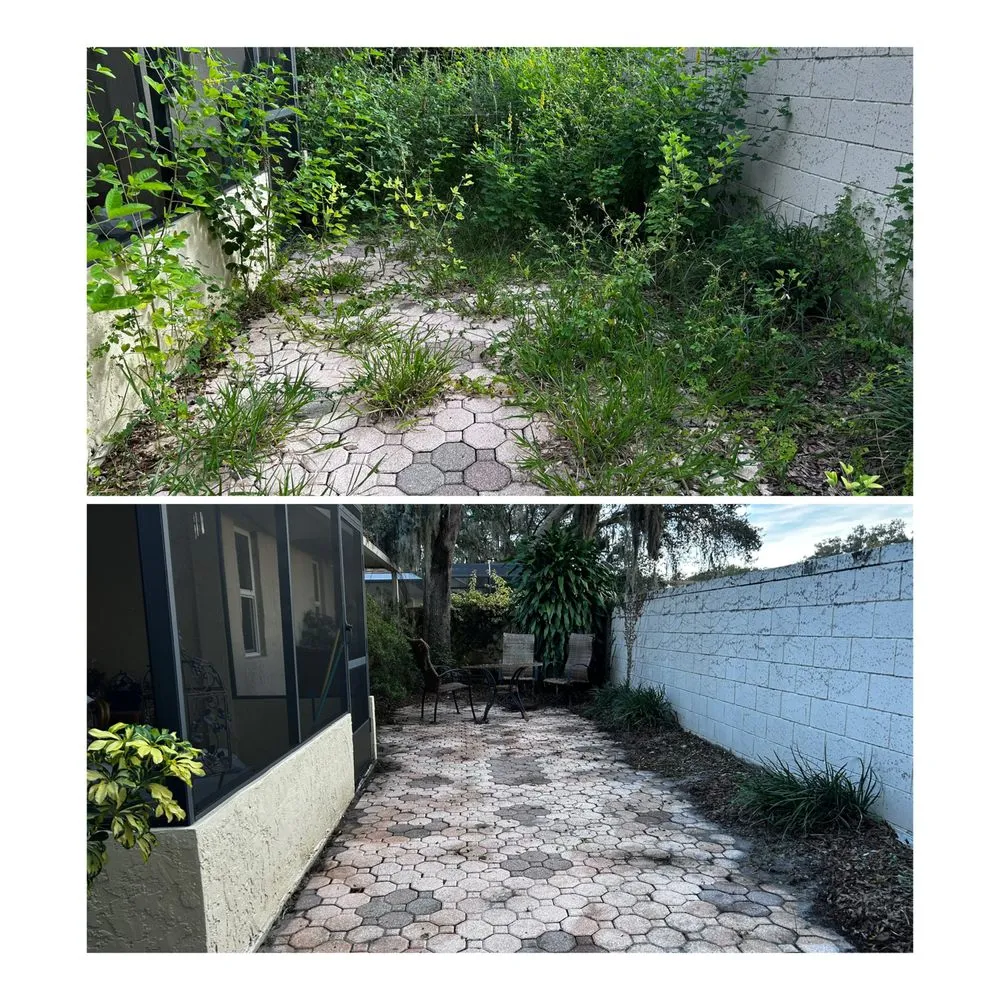 Reliable landscape design experts serving Sanford, FL - Eman Pulls Weeds