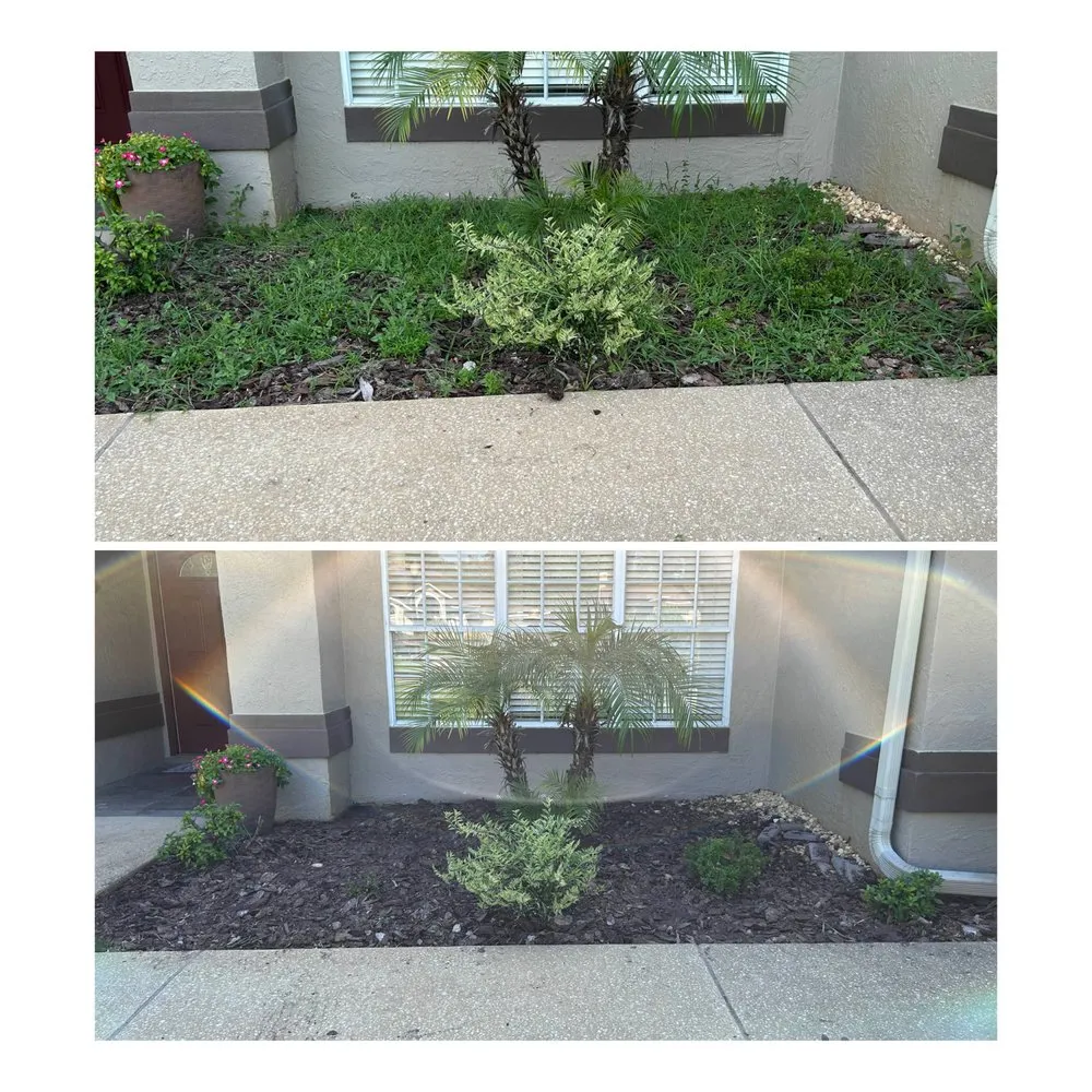 Professional garden landscaping in Sanford, FL by Eman Pulls Weeds