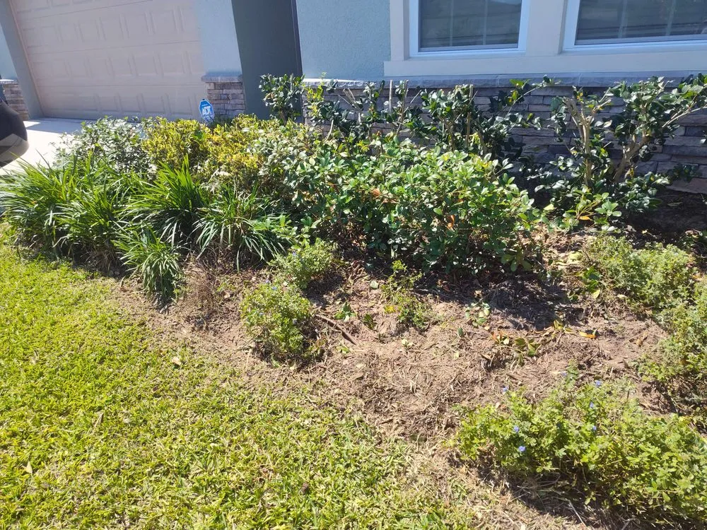 Top-rated yard cleanup service experts serving Sanford, FL - Eman Pulls Weeds