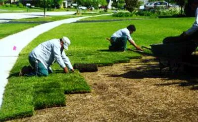 Professional lawn care service in Killeen, TX by Eman Sprinkler Install & Repair