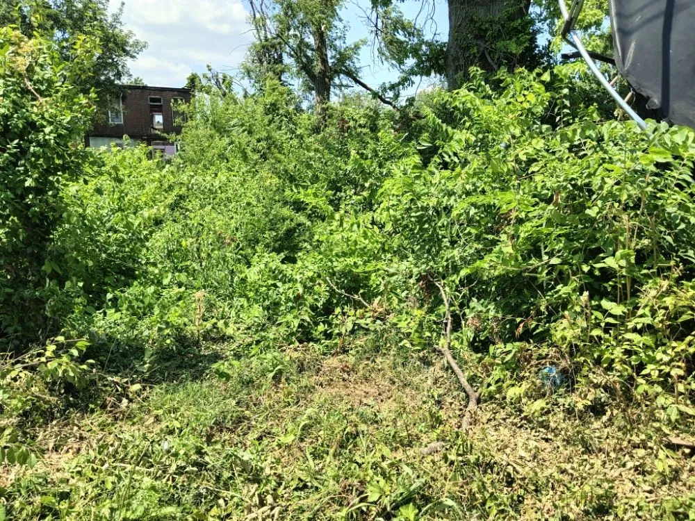 Professional landscape design in Granite City, IL by Emanuel Landscape & Maintenance