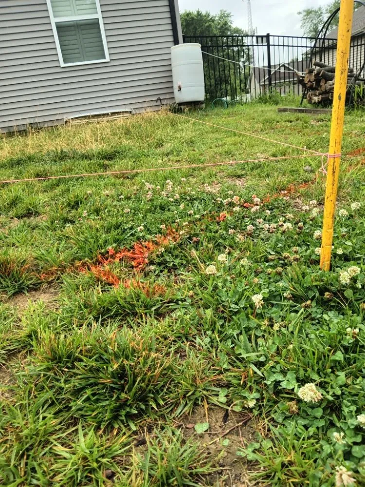 Expert lawn mowing service for homes across Granite City, IL - Emanuel Landscape & Maintenance