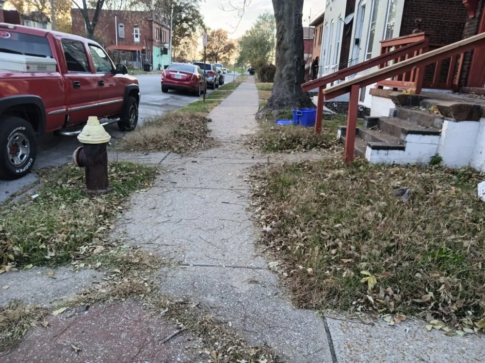 Local lawn care service experts serving Granite City, IL - Emanuel Landscape & Maintenance