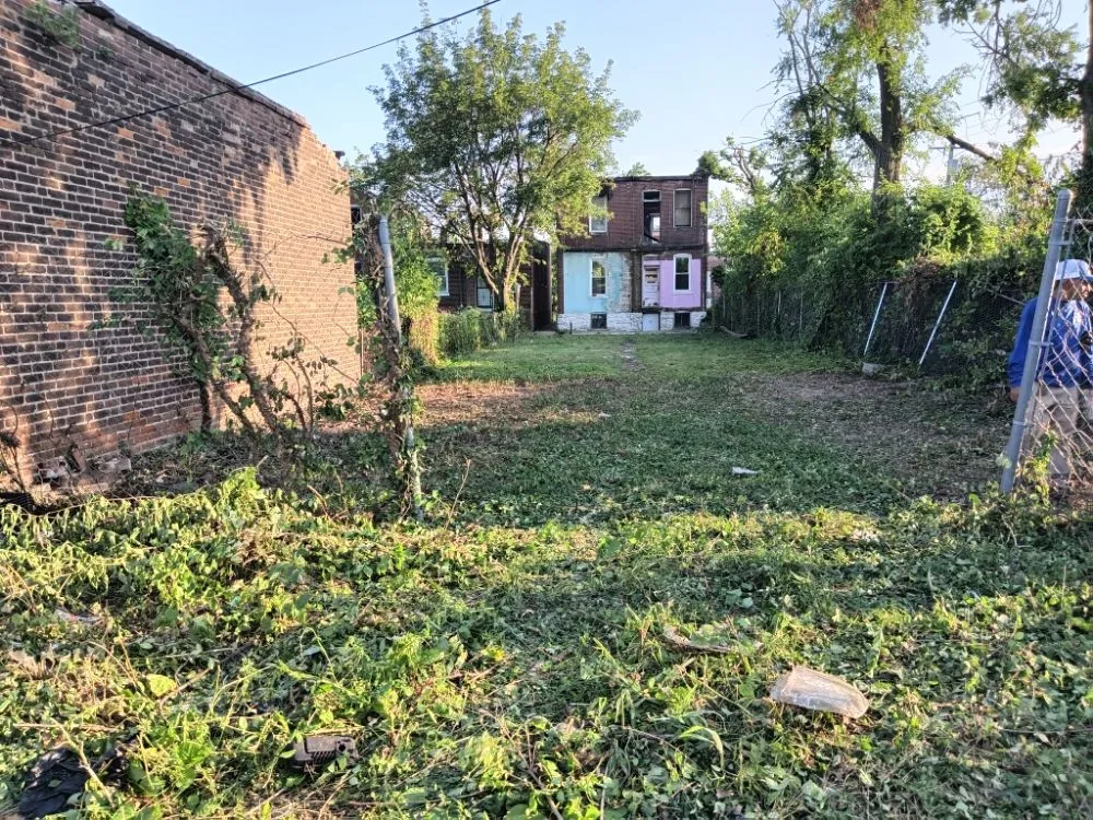 Trusted lawn care service in Granite City, IL - Emanuel Landscape & Maintenance