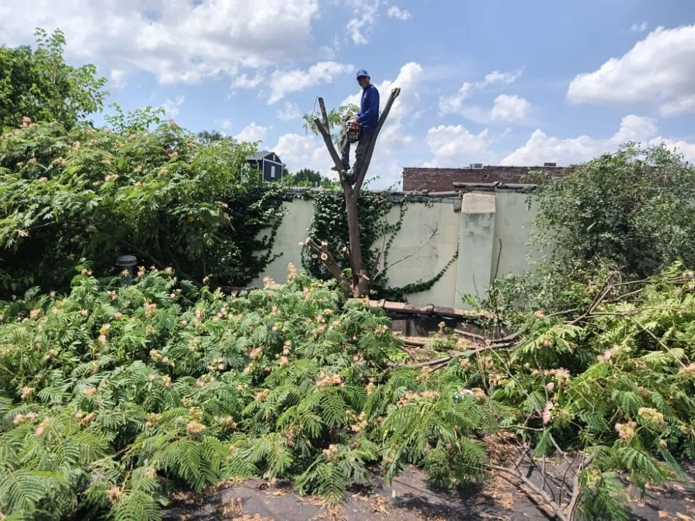 Expert outdoor landscaping experts serving Granite City, IL - Emanuel Landscape & Maintenance