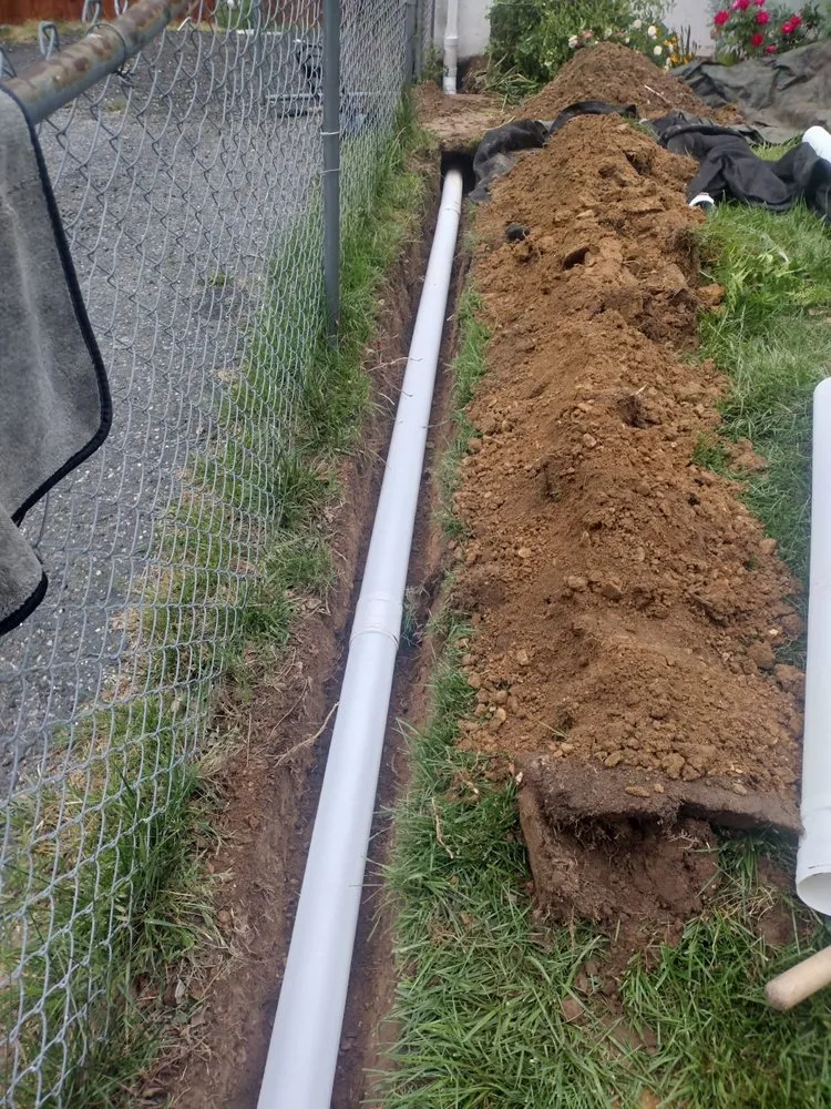 Professional lawn care service in Marlow Heights, MD by Emanuel Landscaping