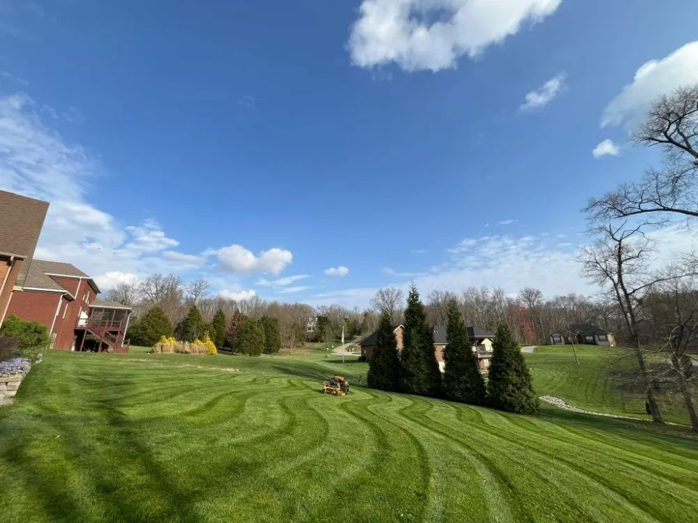 Local yard cleanup service in New Albany, IN by Emanuel Lawn Mowing