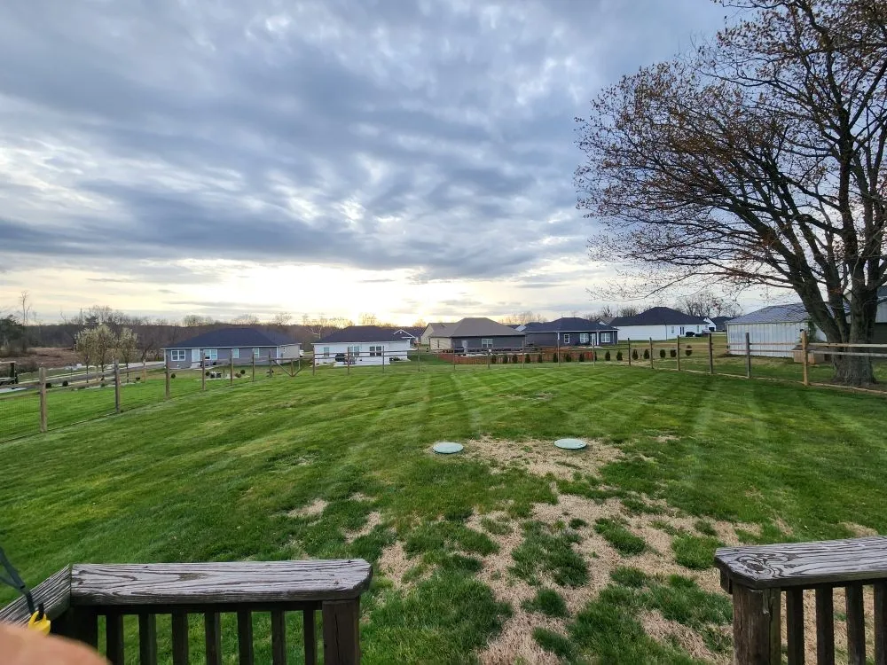 Expert lawn care service for beautiful yards in New Albany, IN by Emanuel Lawn Mowing