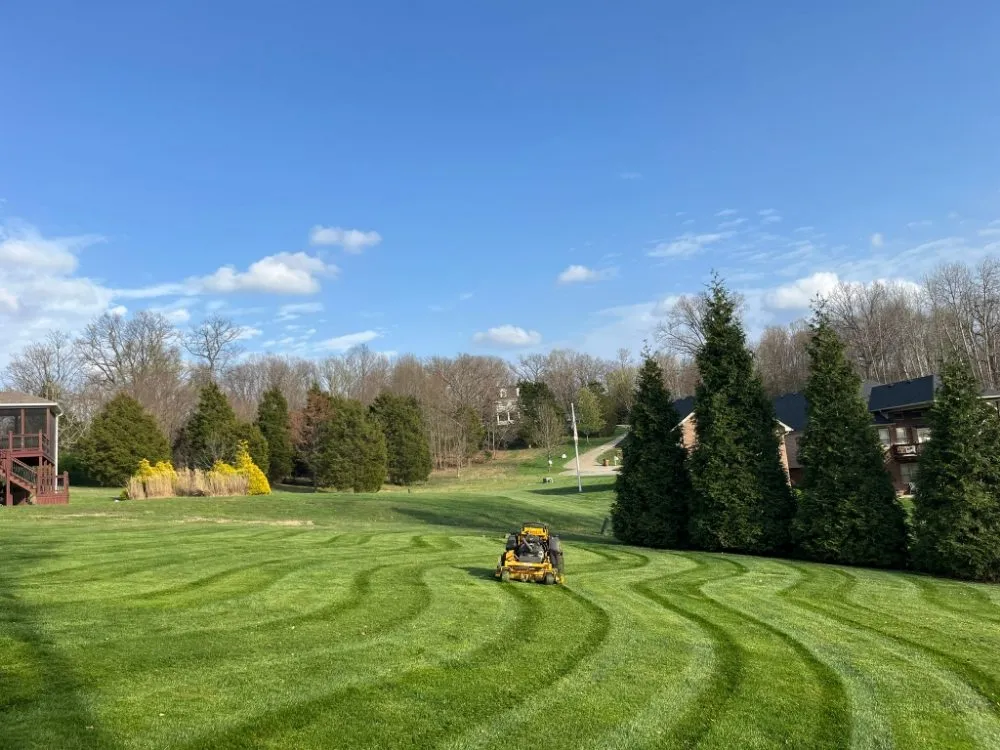 Trusted yard cleanup service for homes across New Albany, IN - Emanuel Lawn Mowing