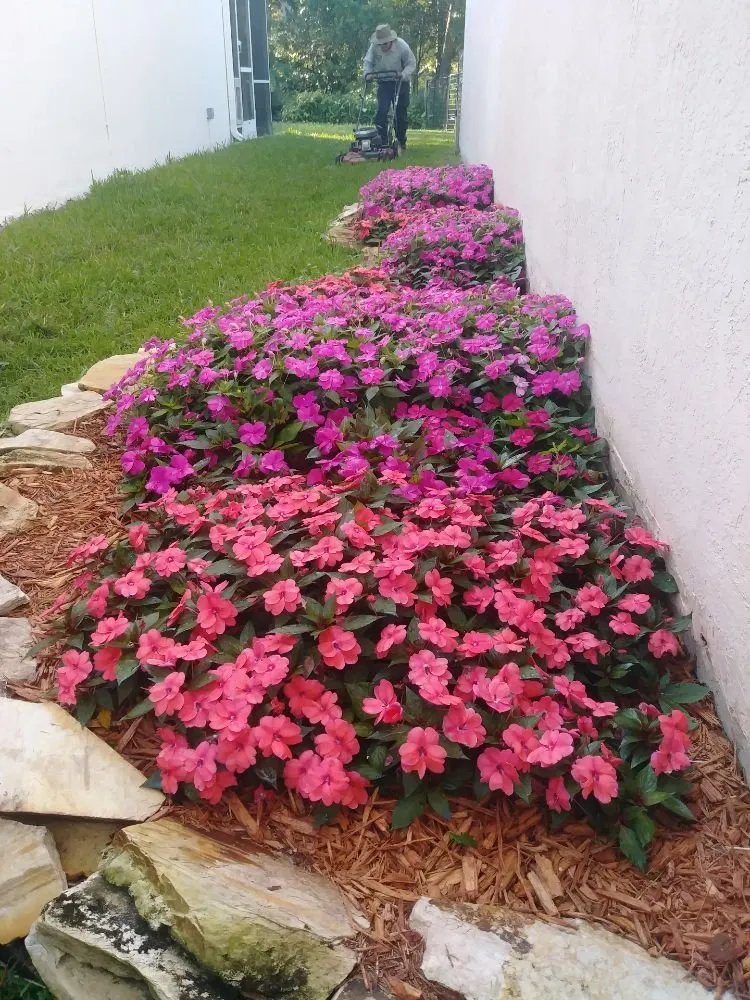 Affordable outdoor landscaping in Fort Lauderdale, FL by Emanuel Lawn Service & Landscaping