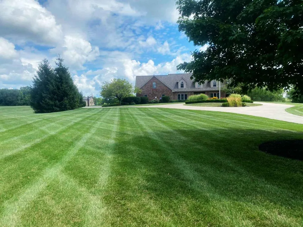 Affordable lawn care service in Anderson, IN by Emanuel Mowing & Landscaping