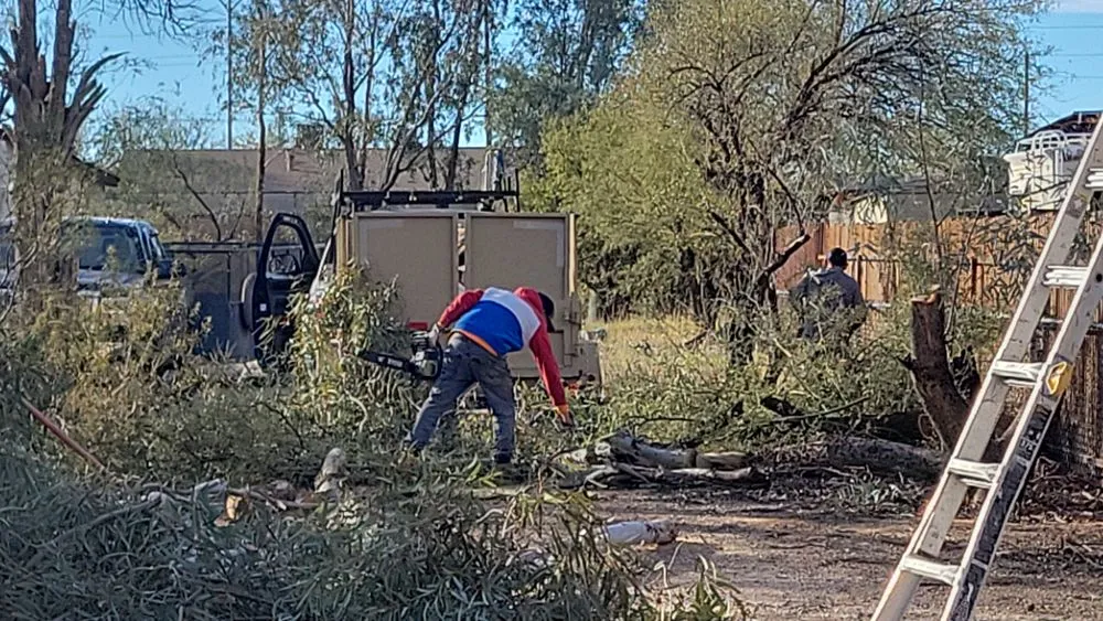 Trusted landscaping services in Tucson, AZ by Emanuel Services