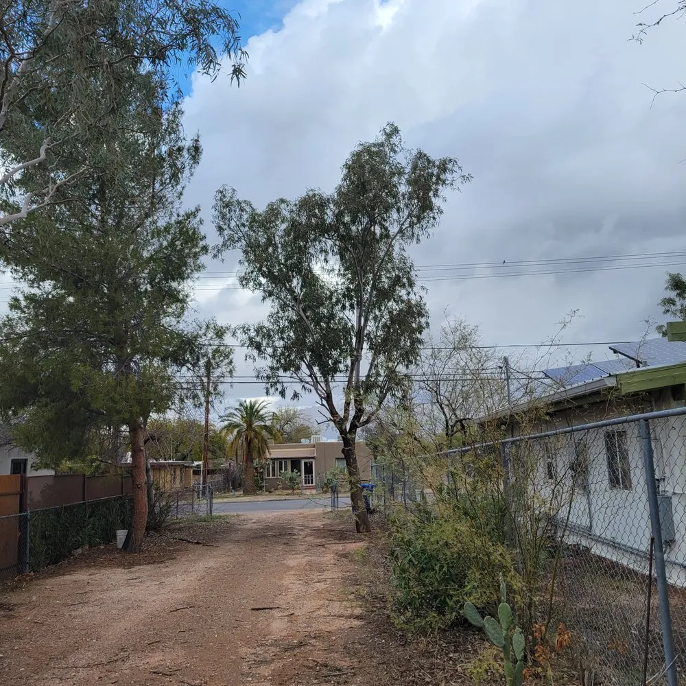 Reliable landscape design in Tucson, AZ by Emanuel Services