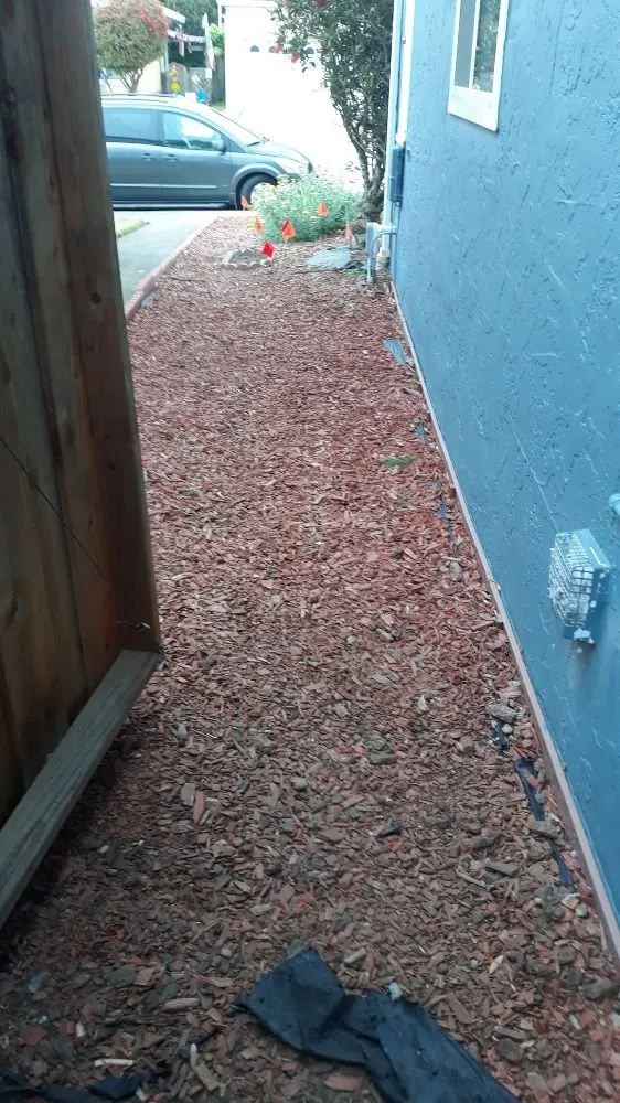 Trusted lawn mowing service in San Francisco, CA by Emanuel's Landscaping and Handyman Services