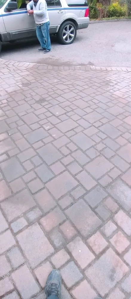 Trusted landscaping services in San Francisco, CA - Emanuel's Landscaping and Handyman Services