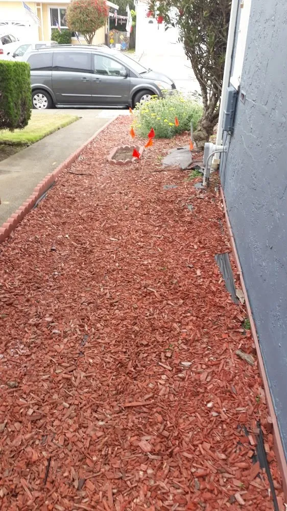 Trusted residential landscaping for outdoor upgrades across San Francisco, CA - Emanuel's Landscaping and Handyman Services