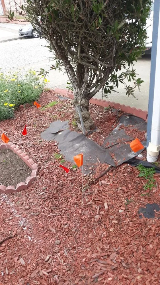 Professional lawn care service experts serving San Francisco, CA - Emanuel's Landscaping and Handyman Services