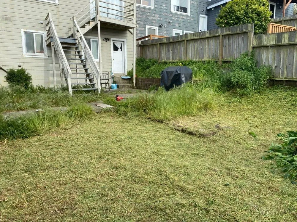 Professional lawn care service experts serving San Francisco, CA - Emanuel's Landscaping and Handyman Services