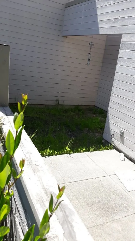 Reliable lawn mowing service in San Francisco, CA - Emanuel's Landscaping and Handyman Services