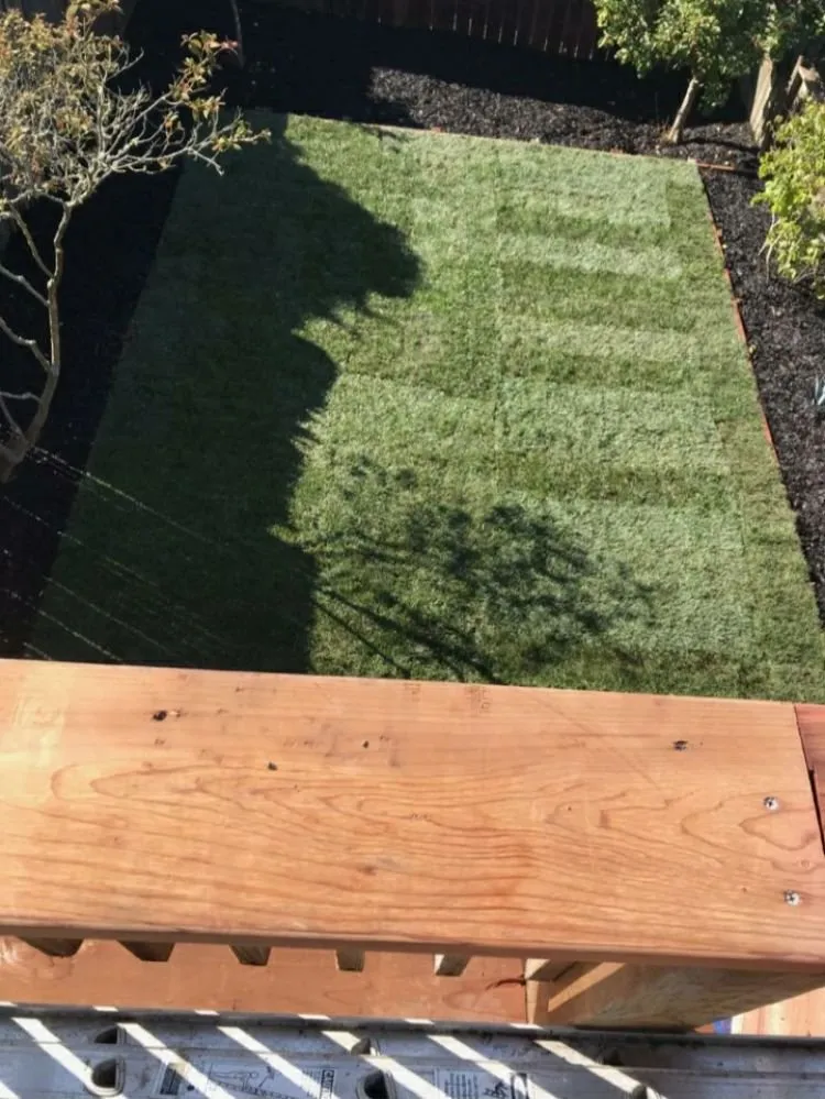 Local lawn care service experts serving San Francisco, CA - Emanuel's Landscaping and Handyman Services