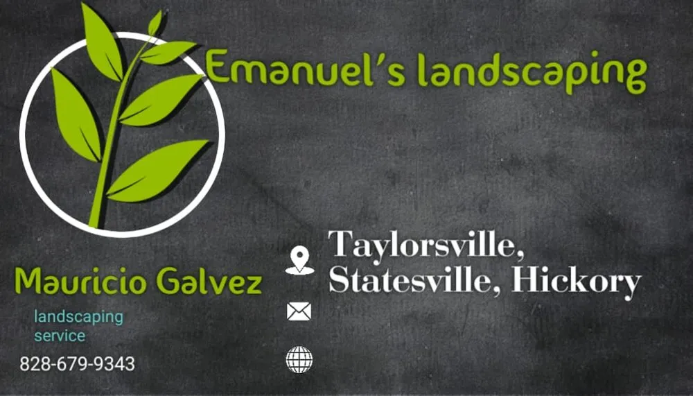 Expert yard cleanup service in Township of Taylorsville, NC - Emanuel's Landscaping
