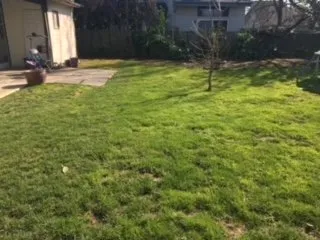 Top-rated landscape installation experts serving Lake Oswego, OR - Emanuels Lawn Maintenance