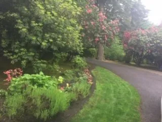 Expert garden landscaping for beautiful yards in Lake Oswego, OR by Emanuels Lawn Maintenance