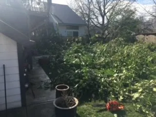 Trusted landscape installation for residential properties in Lake Oswego, OR by Emanuels Lawn Maintenance