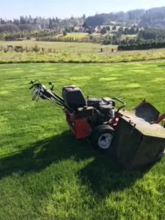 Custom landscaping services in Lake Oswego, OR - Emanuels Lawn Maintenance